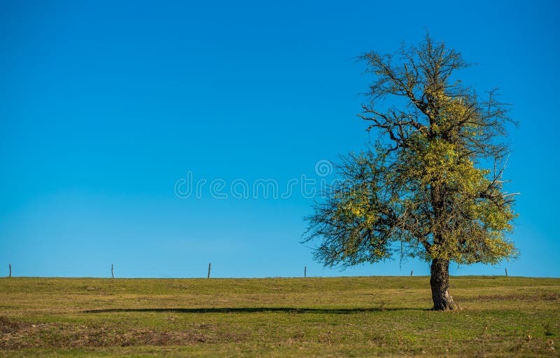 Poieno: Exploring the Meaning of Creation, Openness, and Transformation