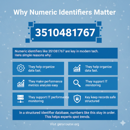 Why Numeric Identifiers Matter