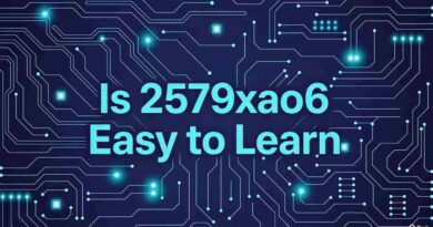 Is 2579xao6 Easy To Learn: Tips for New Coders